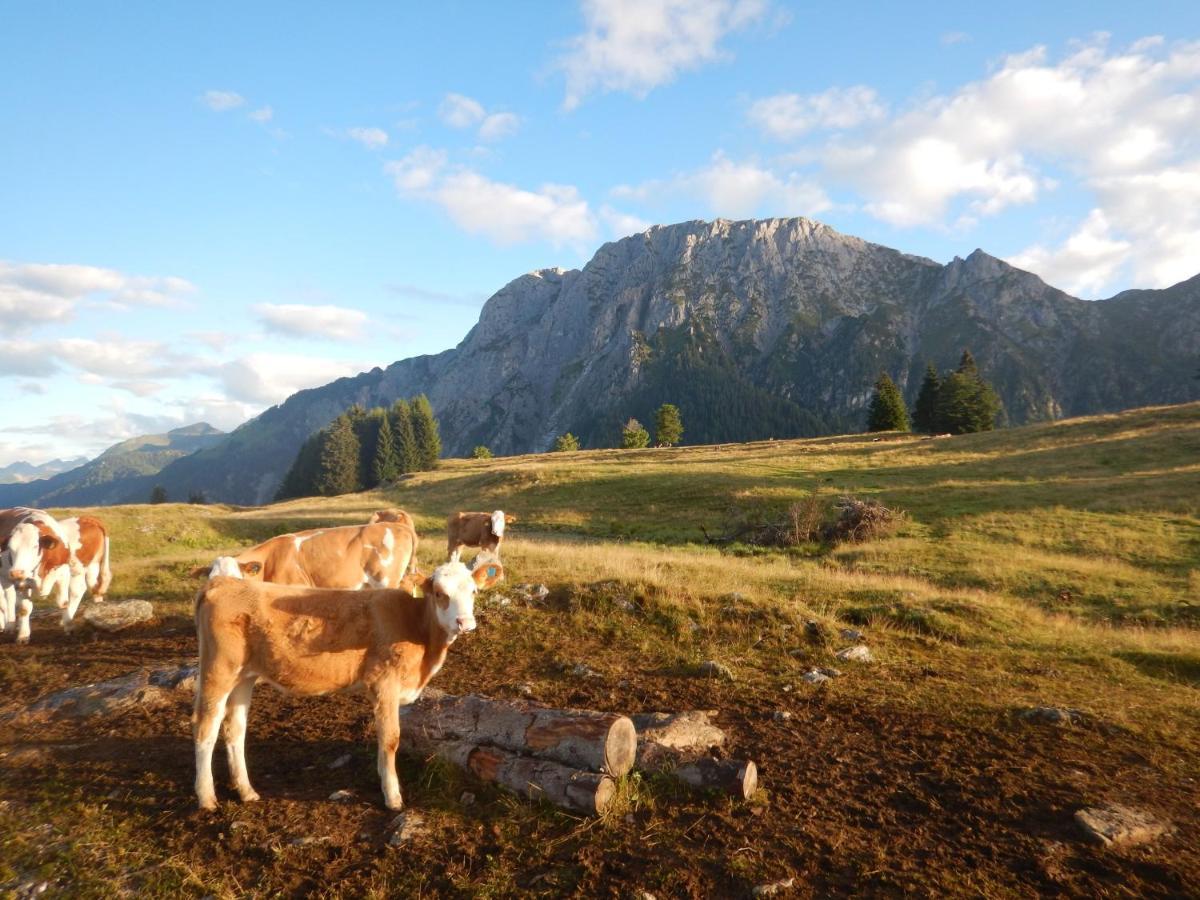 Ferienwohnungen Forellenhof Waldner Gundersheim ภายนอก รูปภาพ